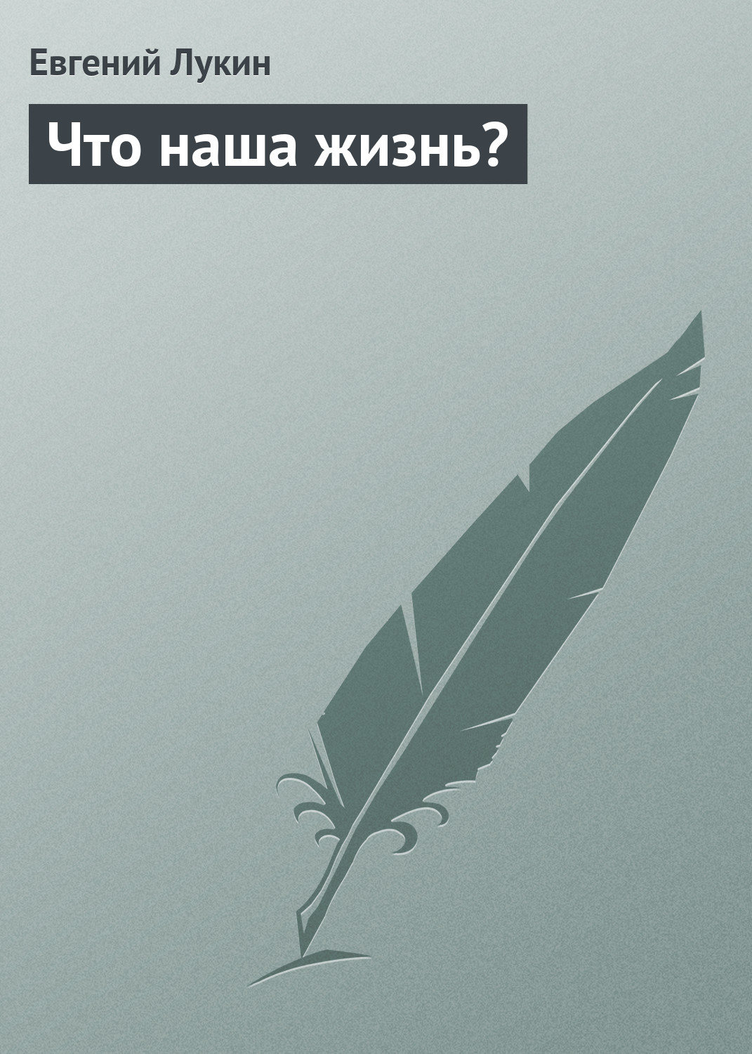 Обложка книги «Что наша жизнь?»