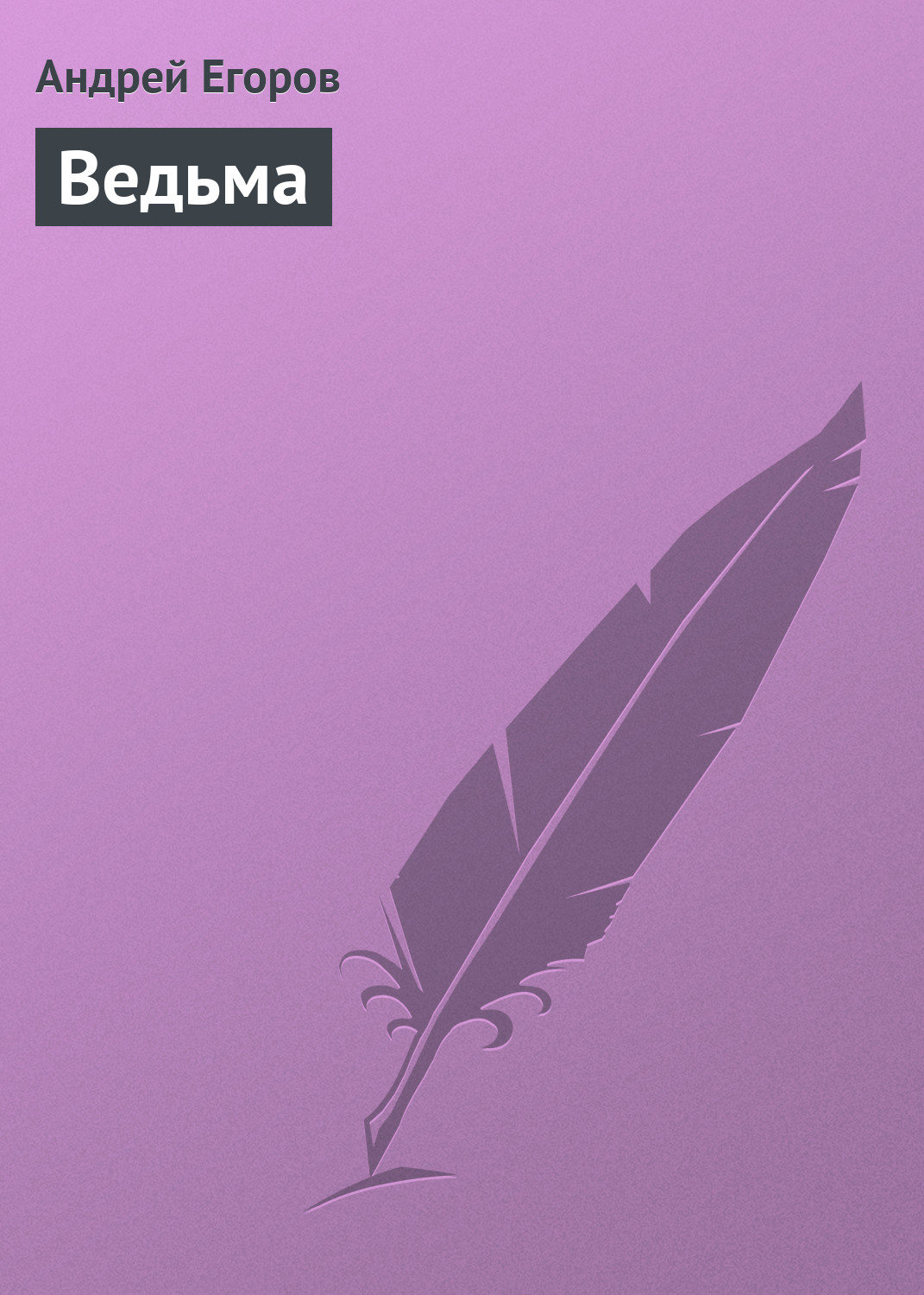 Обложка книги «Ведьма»