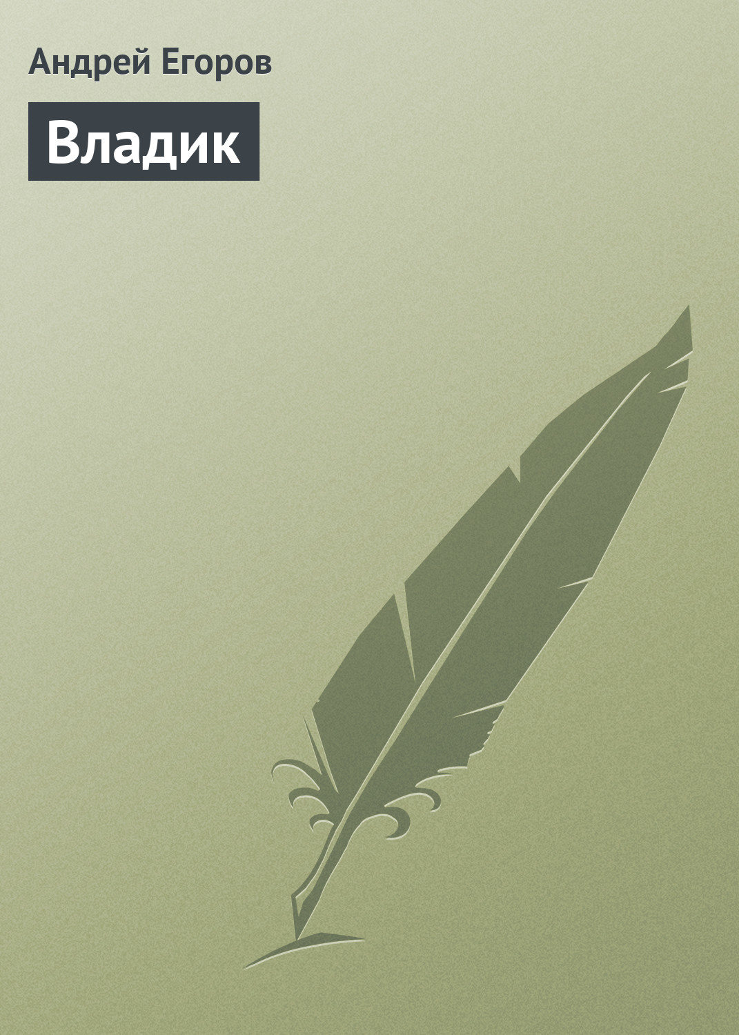Обложка книги «Владик»
