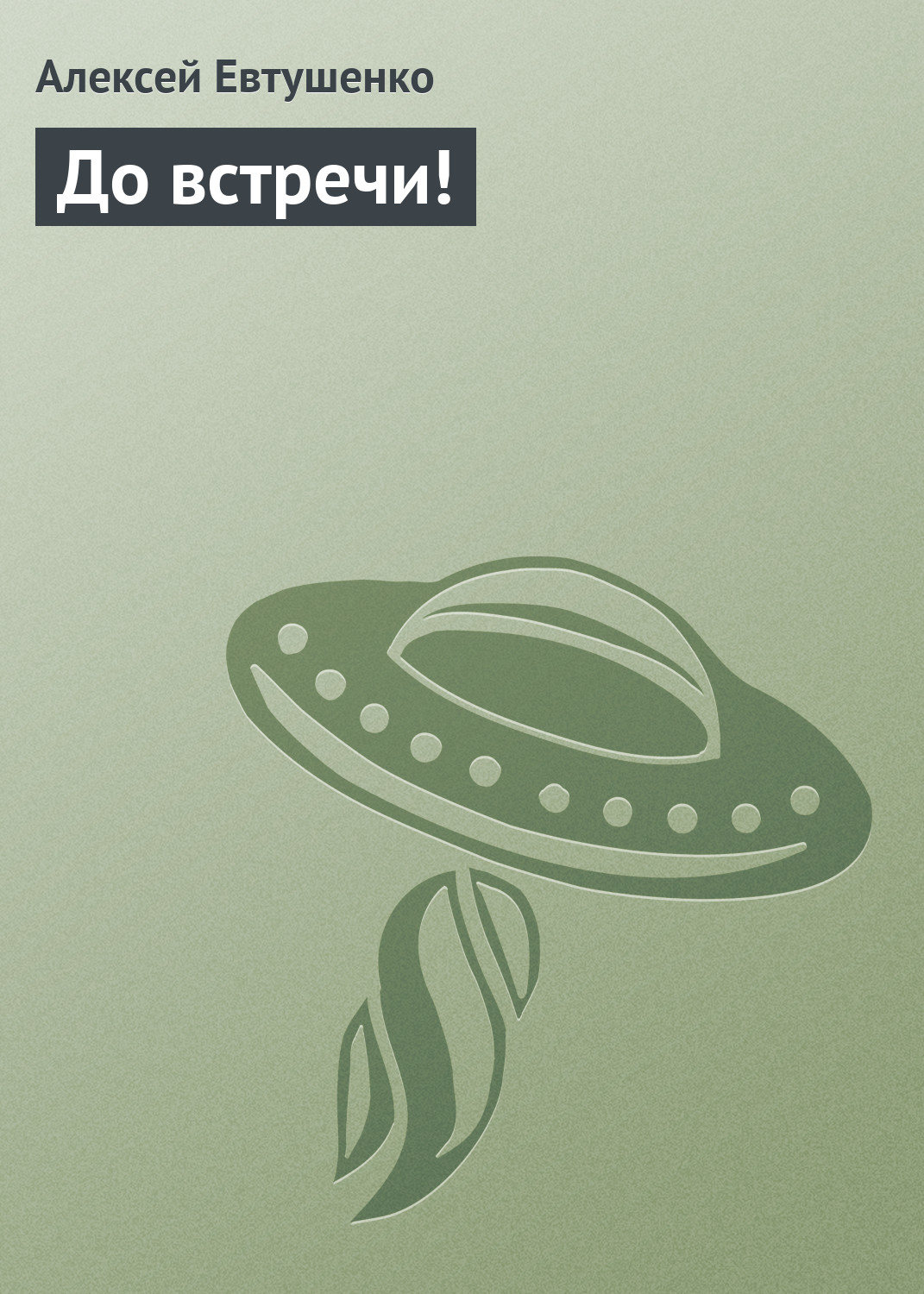 Обложка книги «До встречи!»