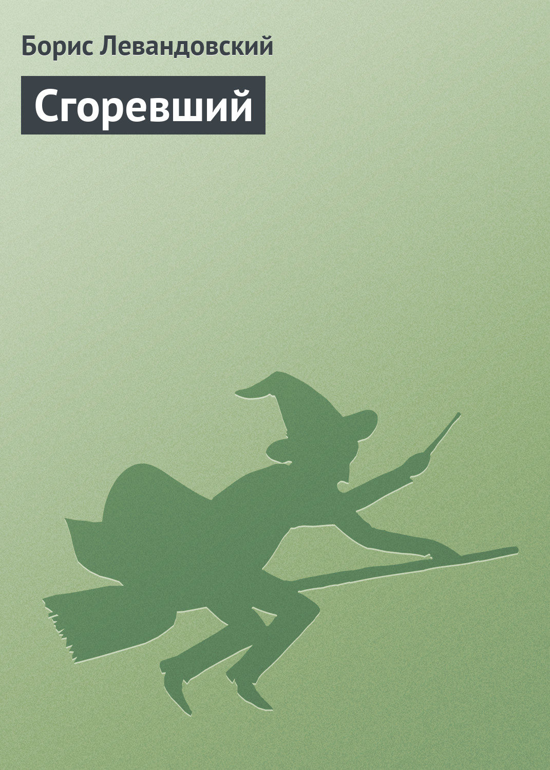 Обложка книги «Сгоревший»