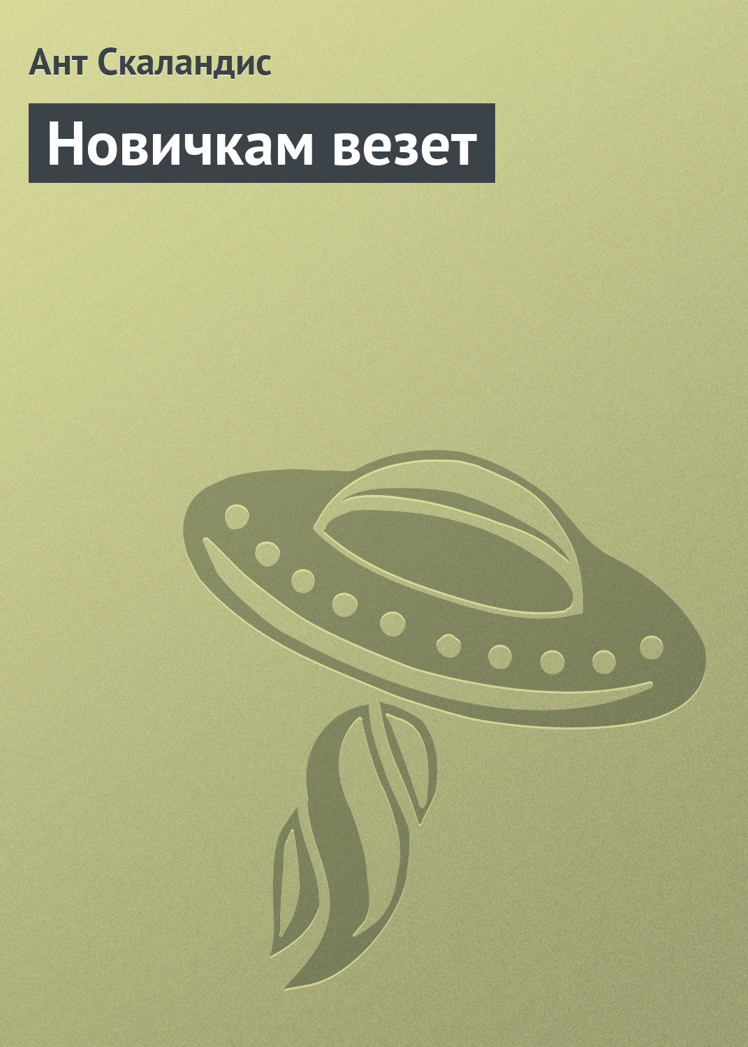 Обложка книги «Новичкам везет»