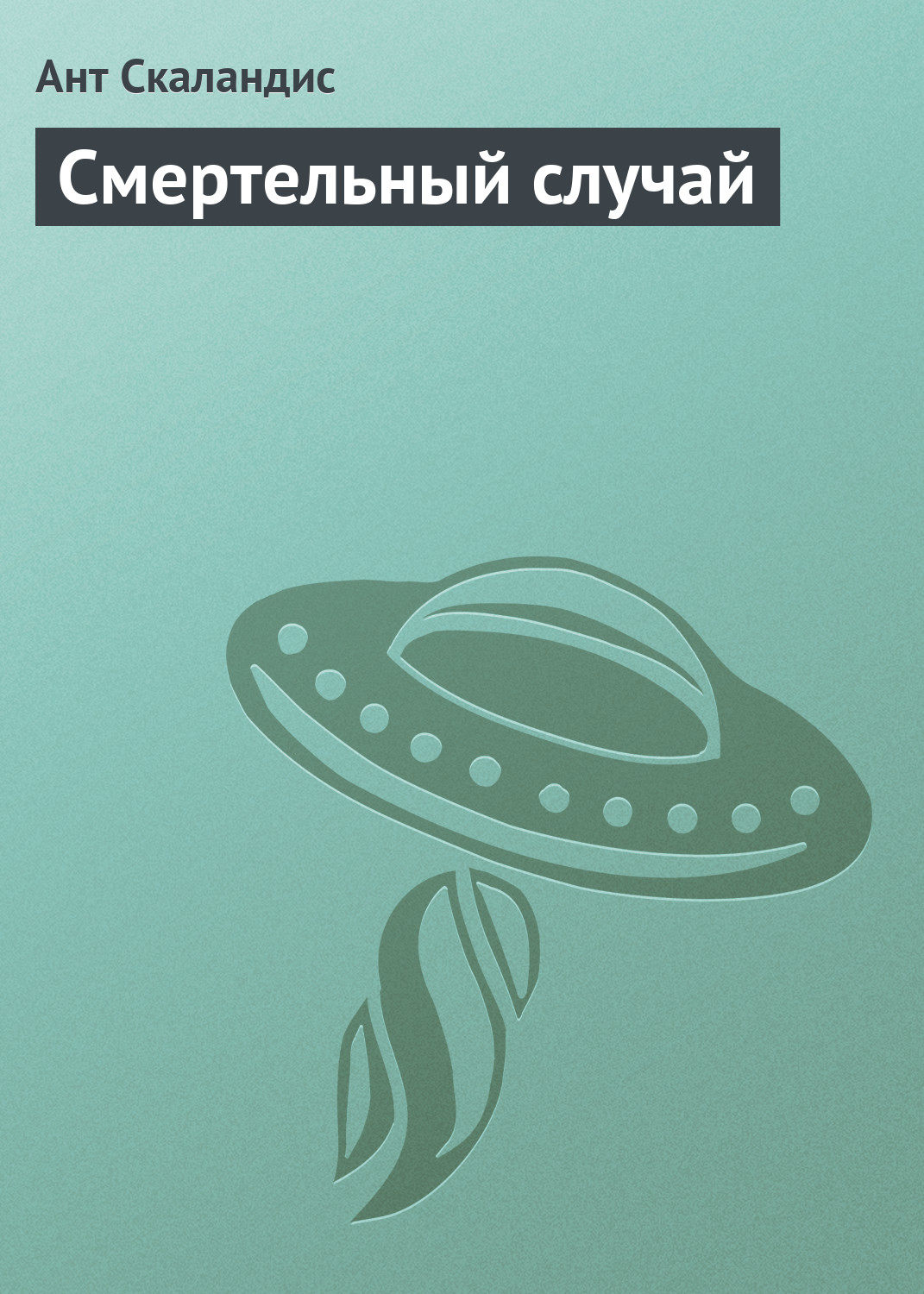 Обложка книги «Смертельный случай»