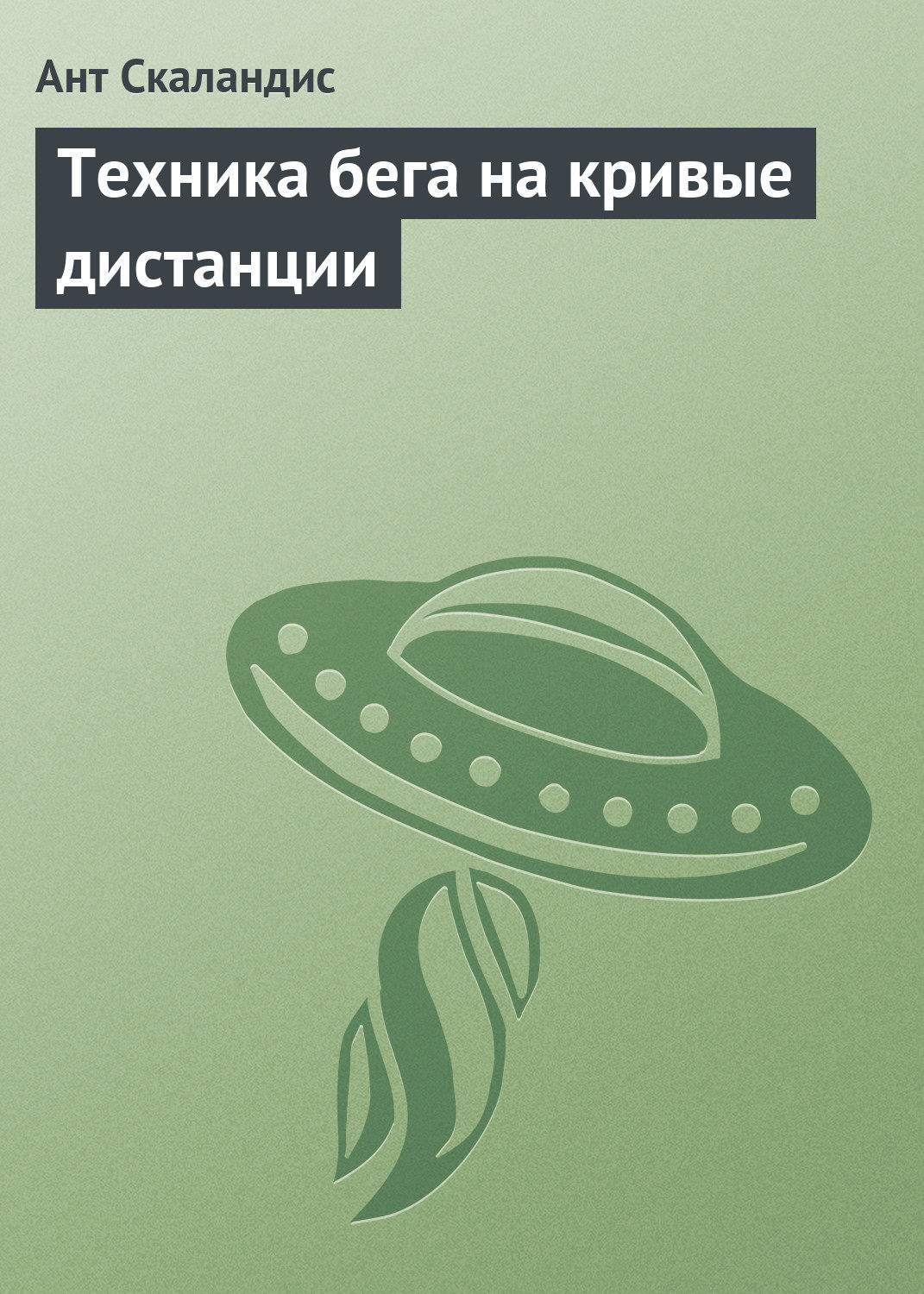 Обложка книги «Техника бега на кривые дистанции»