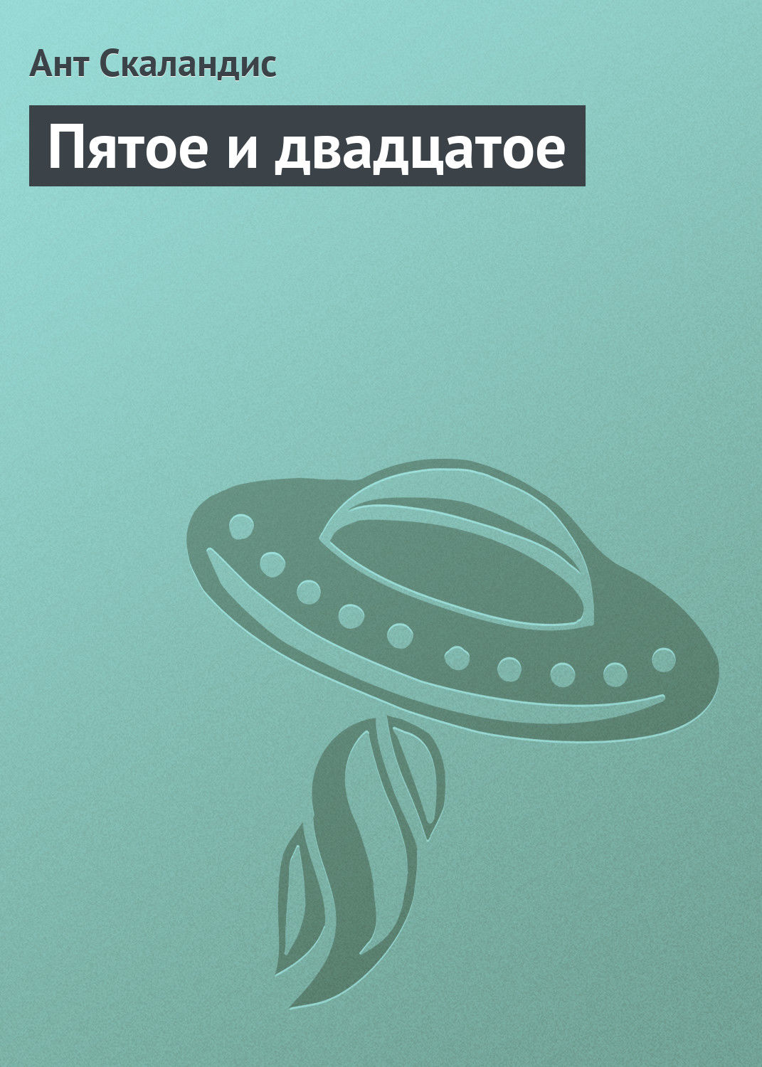 Обложка книги «Пятое и двадцатое»