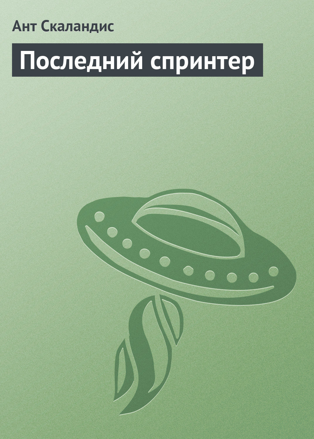 Обложка книги «Последний спринтер»