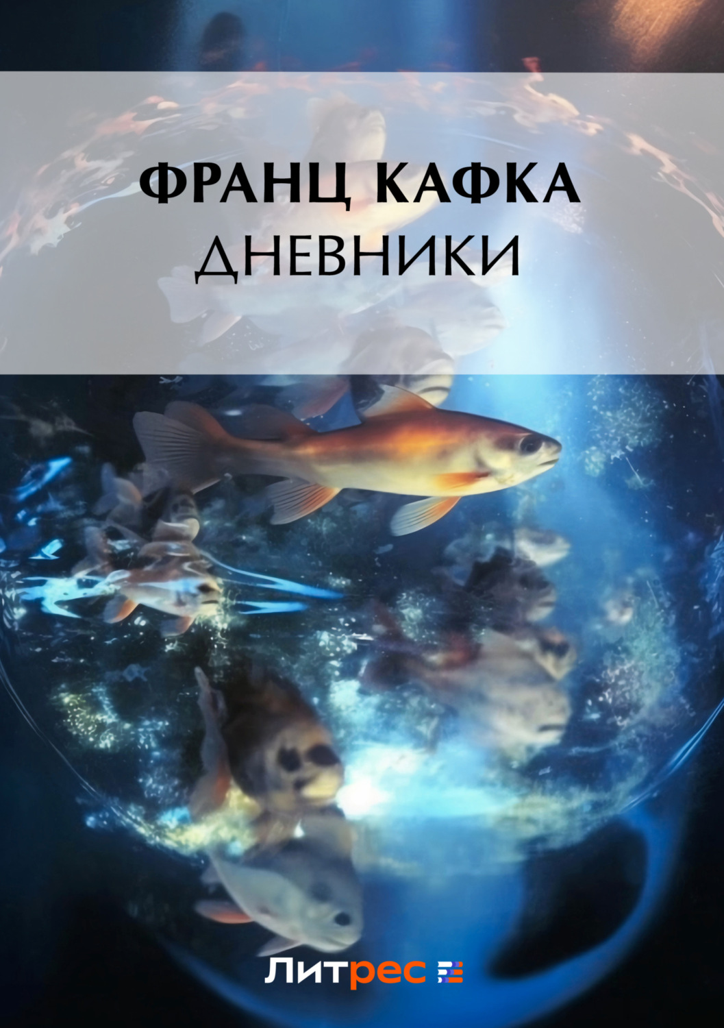 Обложка книги «Дневники»