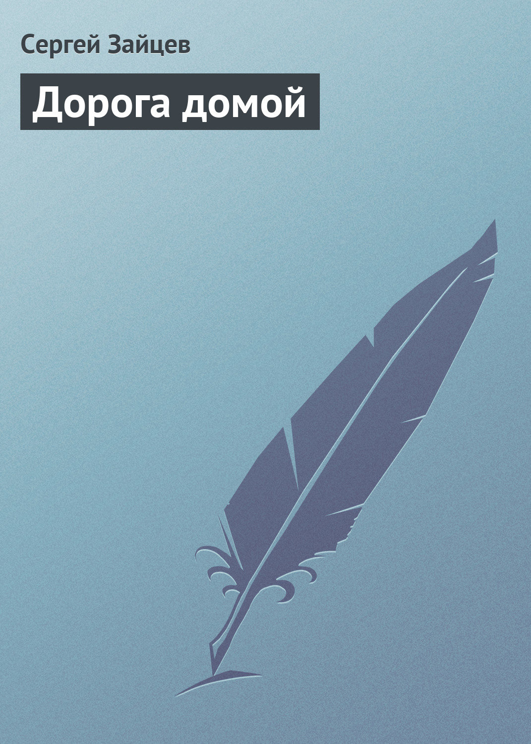 Обложка книги «Дорога домой»