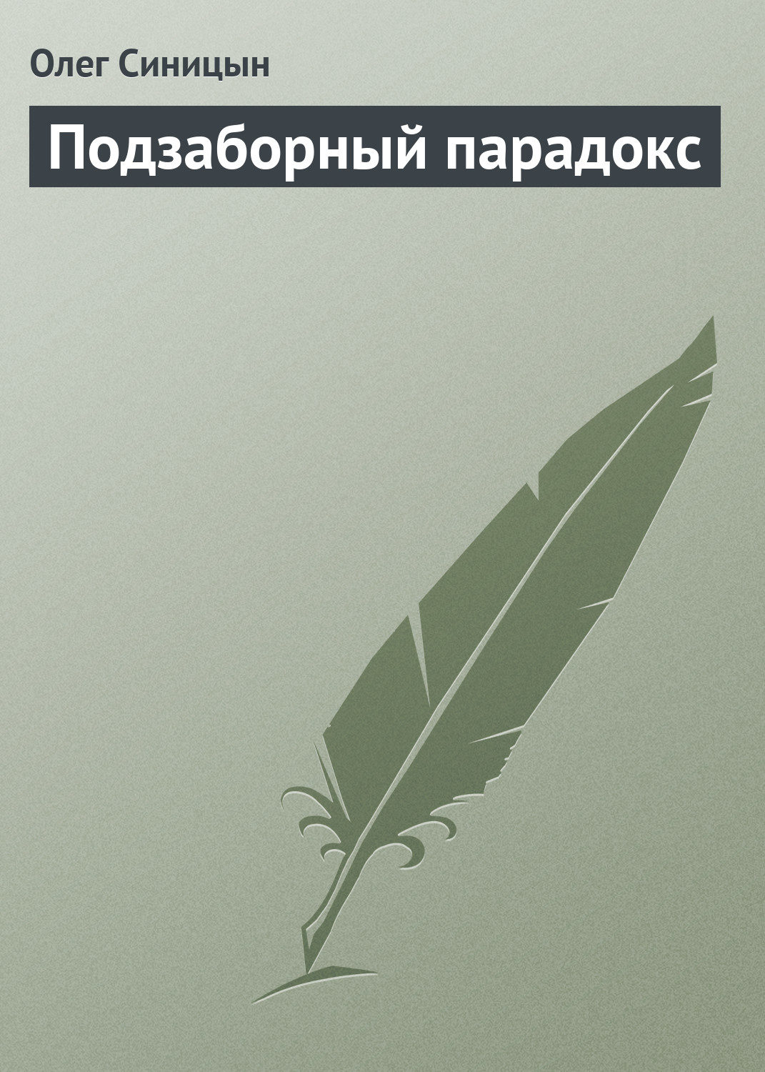 Обложка книги «Подзаборный парадокс»