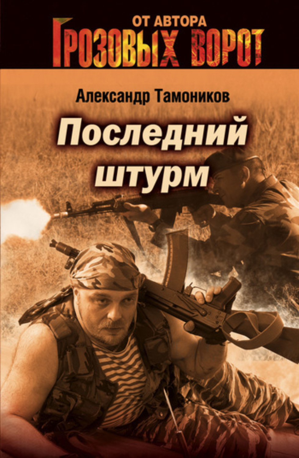 Обложка книги «Последний штурм»