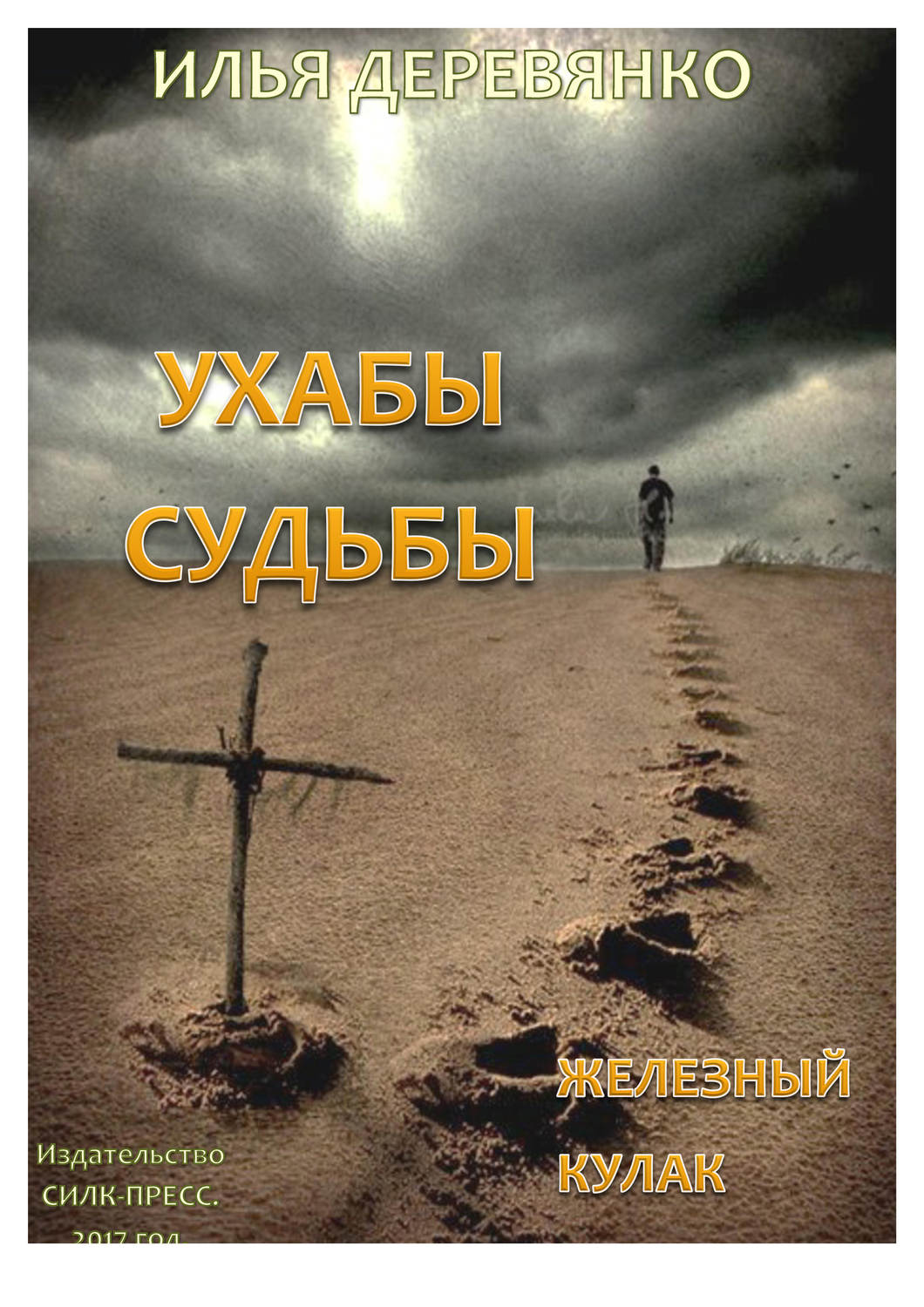 Обложка книги «Железный кулак»