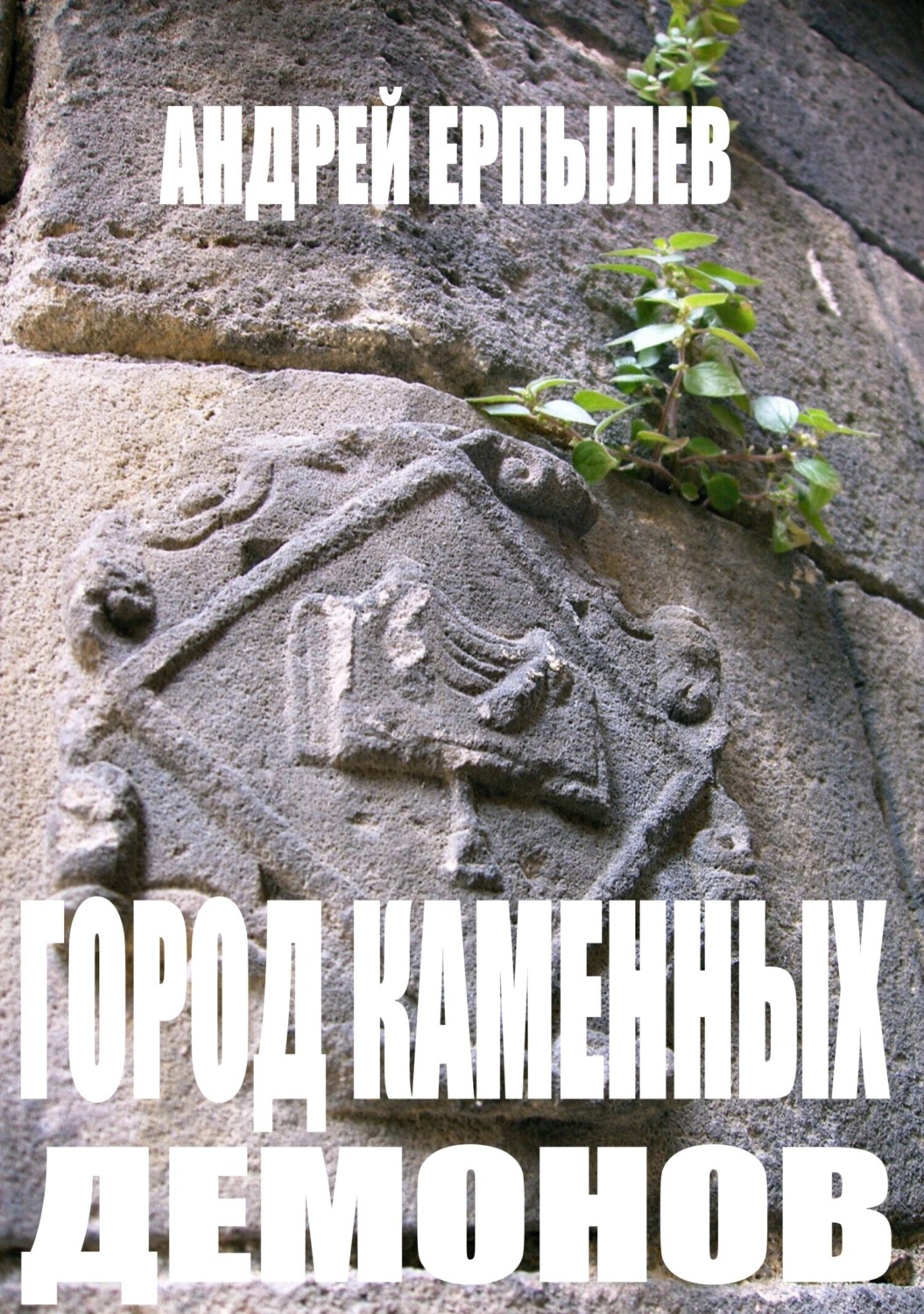 Обложка книги «Город каменных демонов»