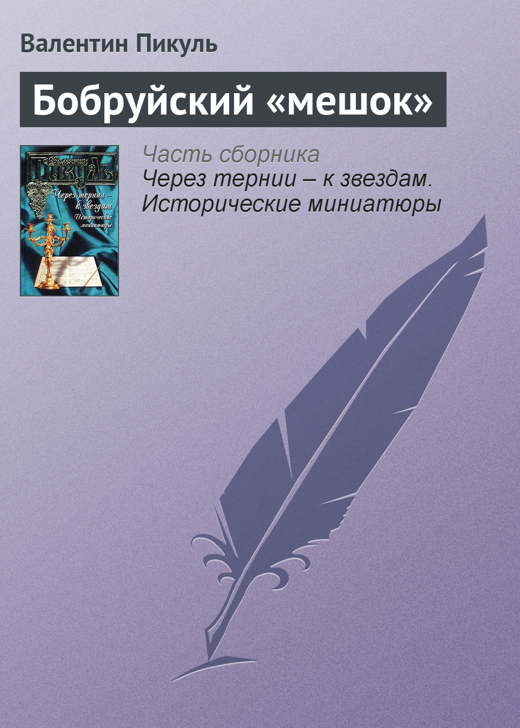 Обложка книги «Бобруйский «мешок»»