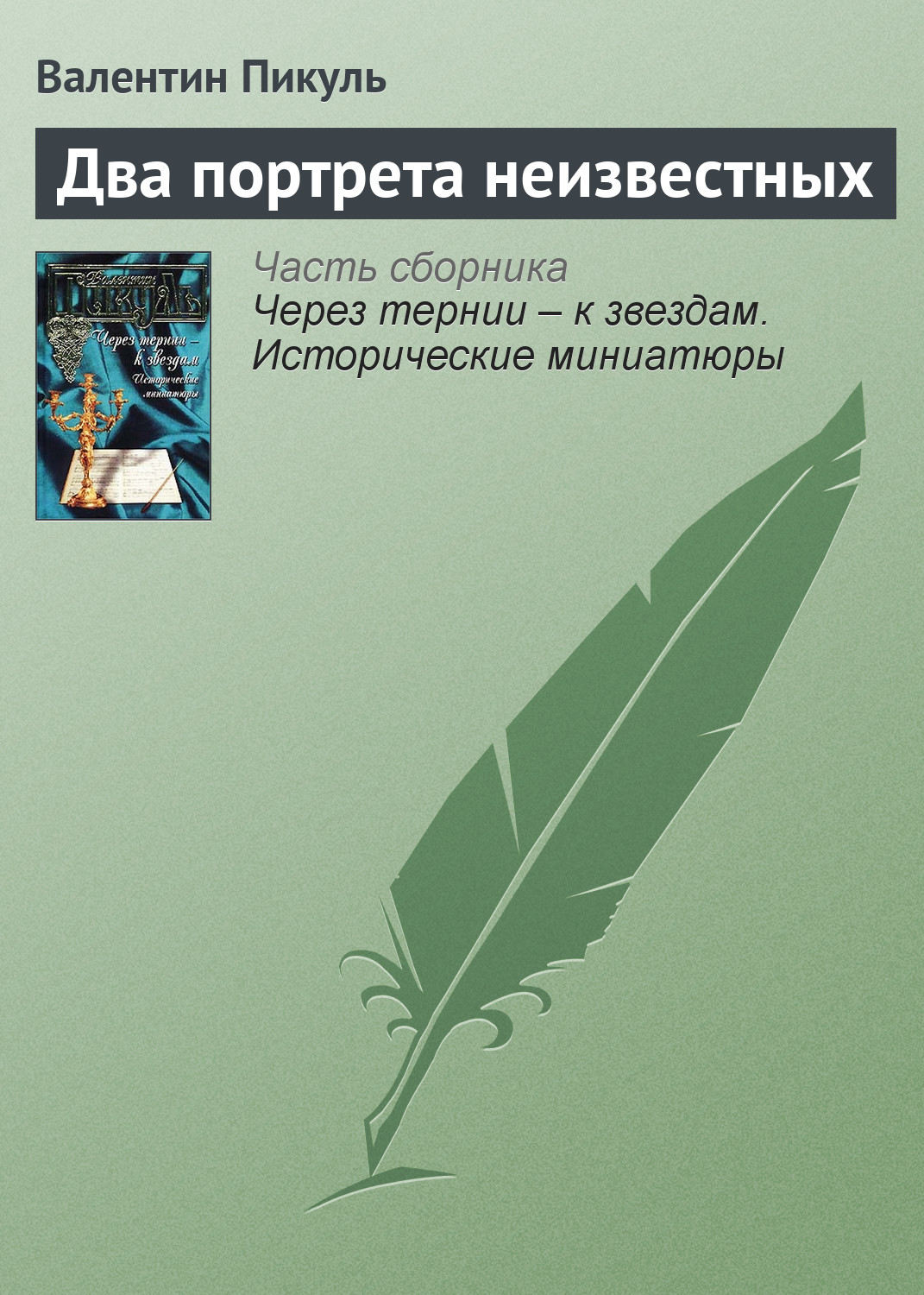 Обложка книги «Два портрета неизвестных»