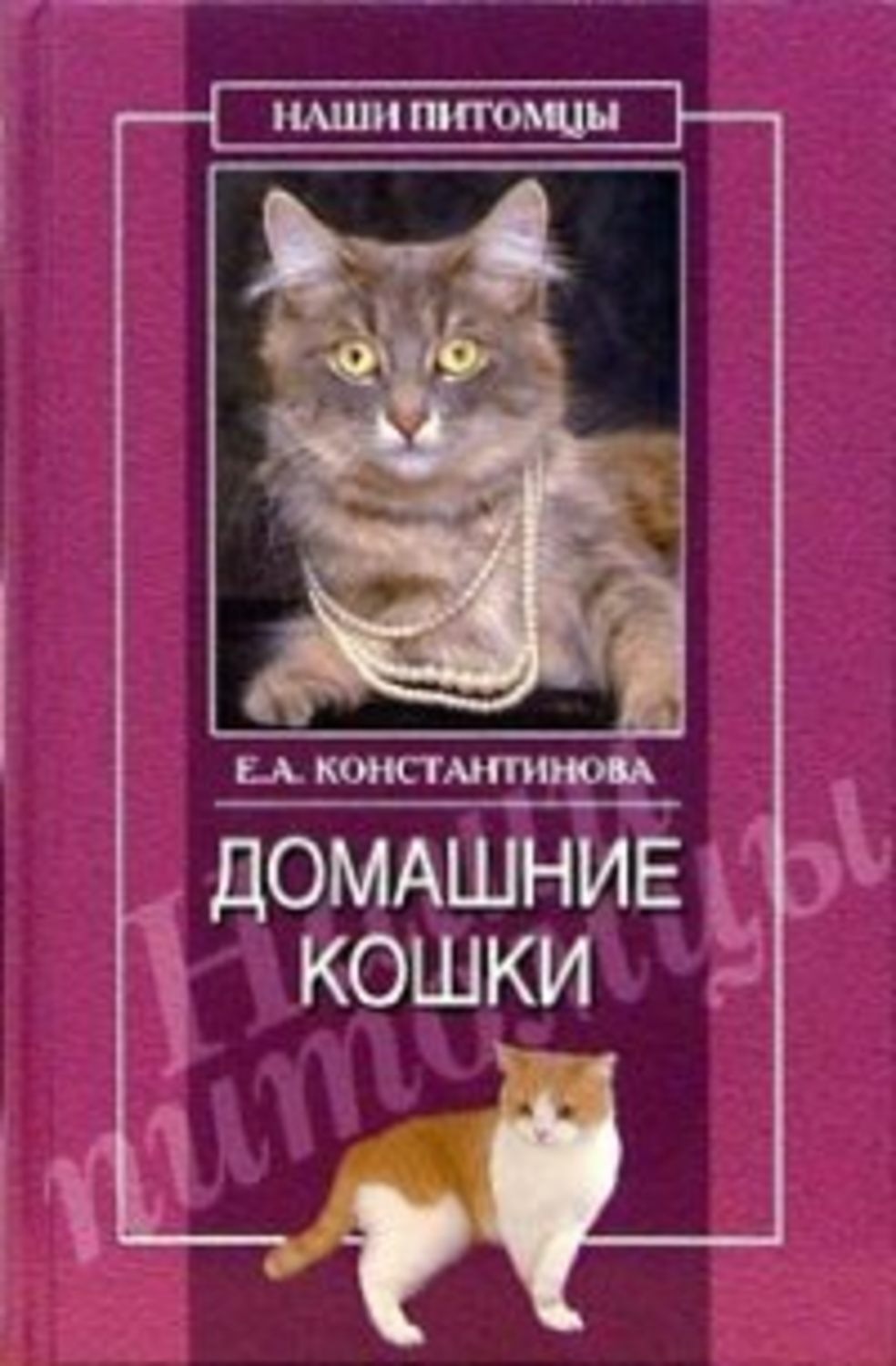 Обложка книги «Домашние кошки»