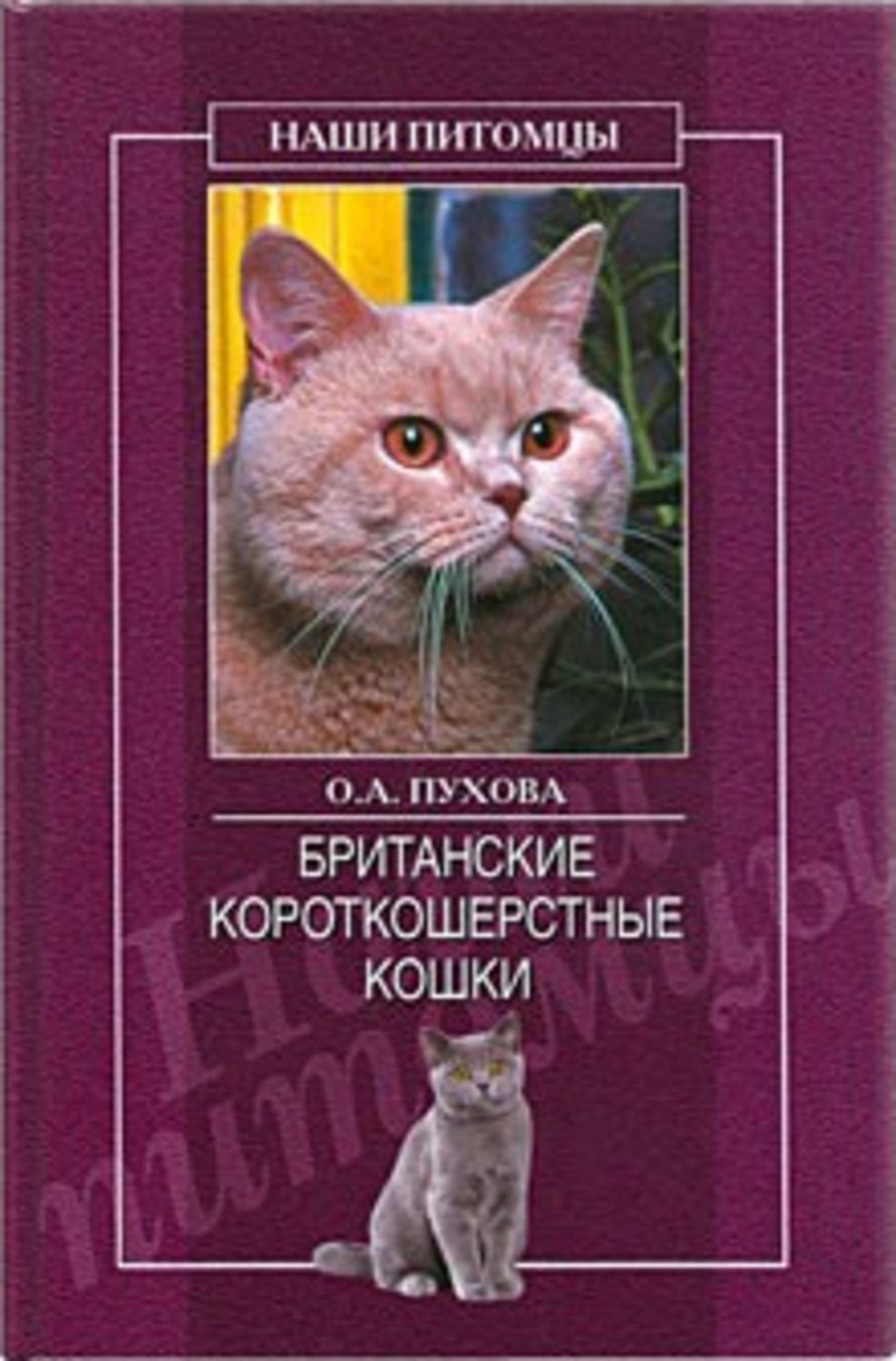 Обложка книги «Британские короткошерстные кошки»