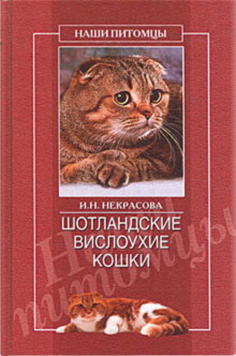 Обложка книги «Шотландские вислоухие кошки»