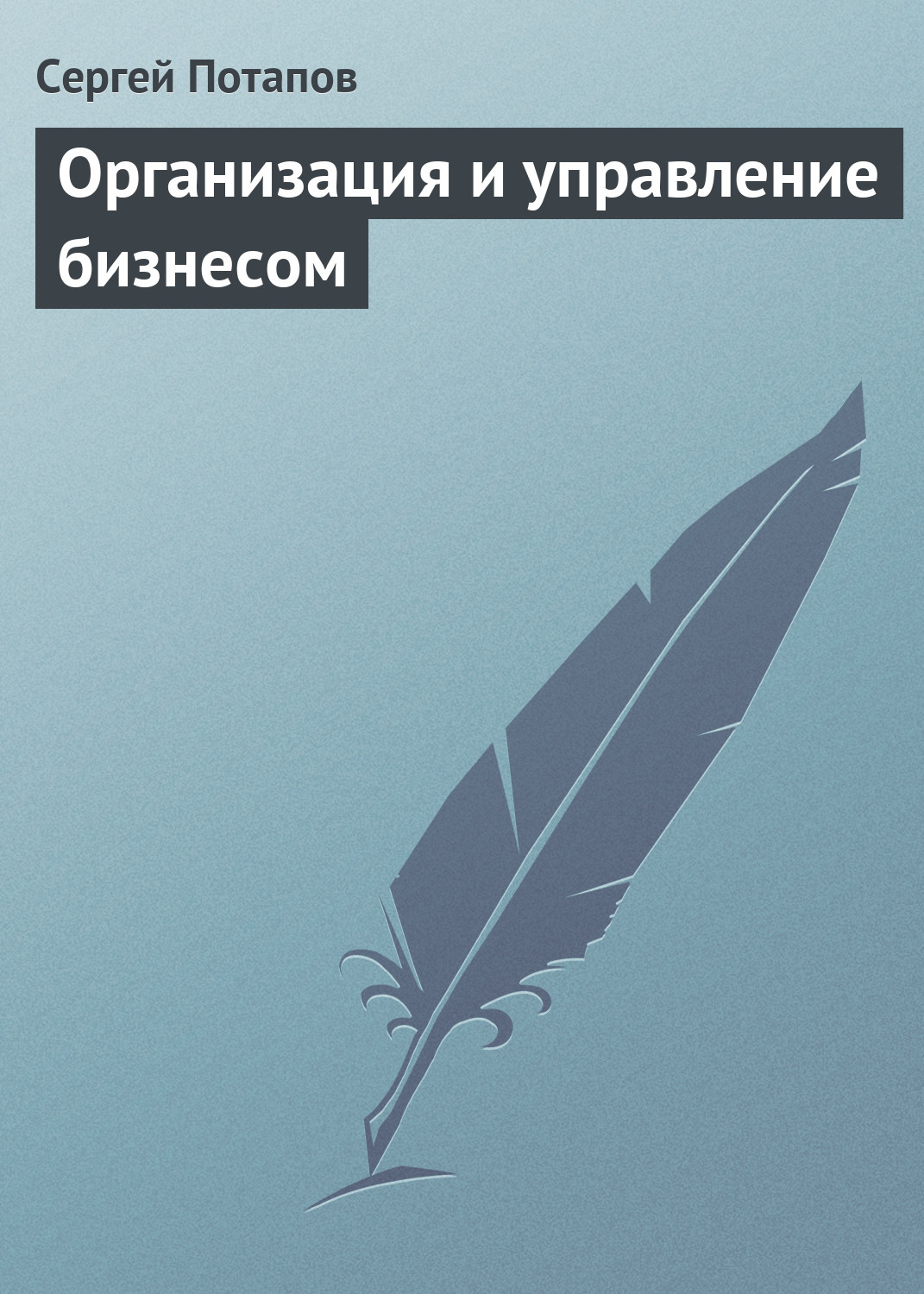 Обложка книги «Организация и управление бизнесом»