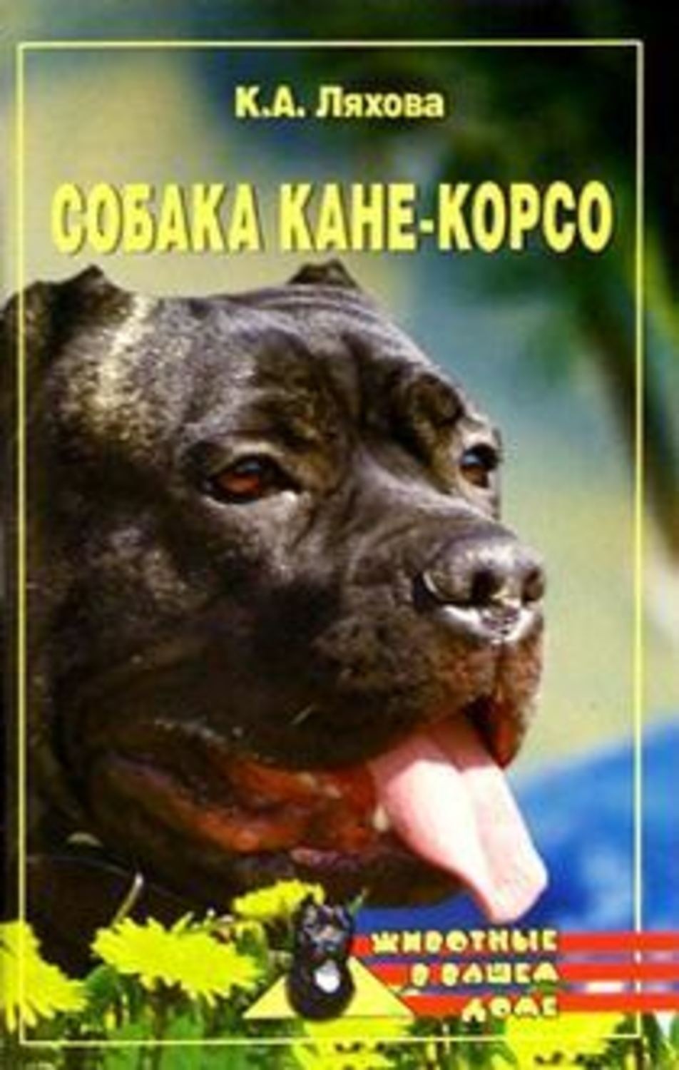 Обложка книги «Собака Кане-Корсо»