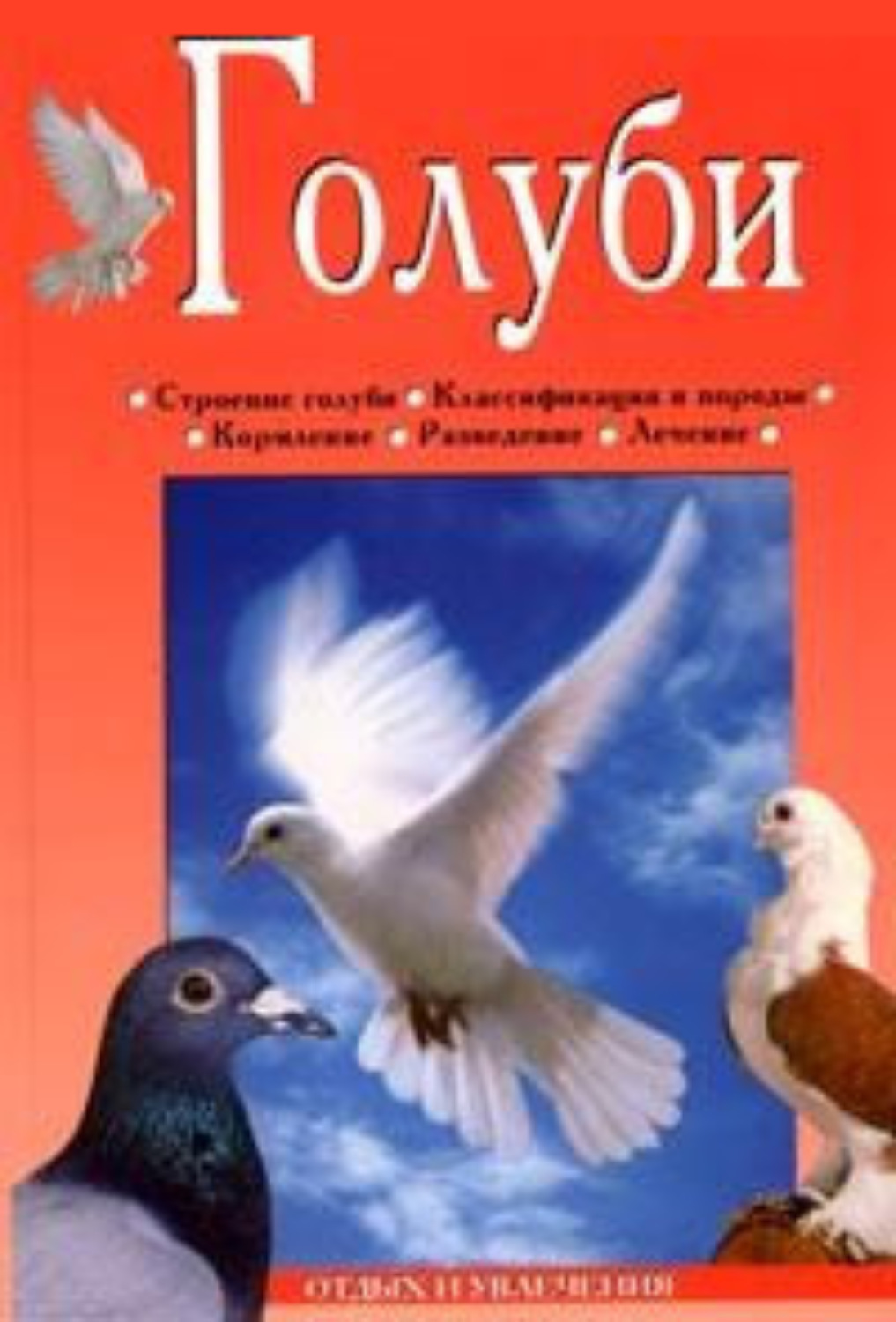 Обложка книги «Голуби»