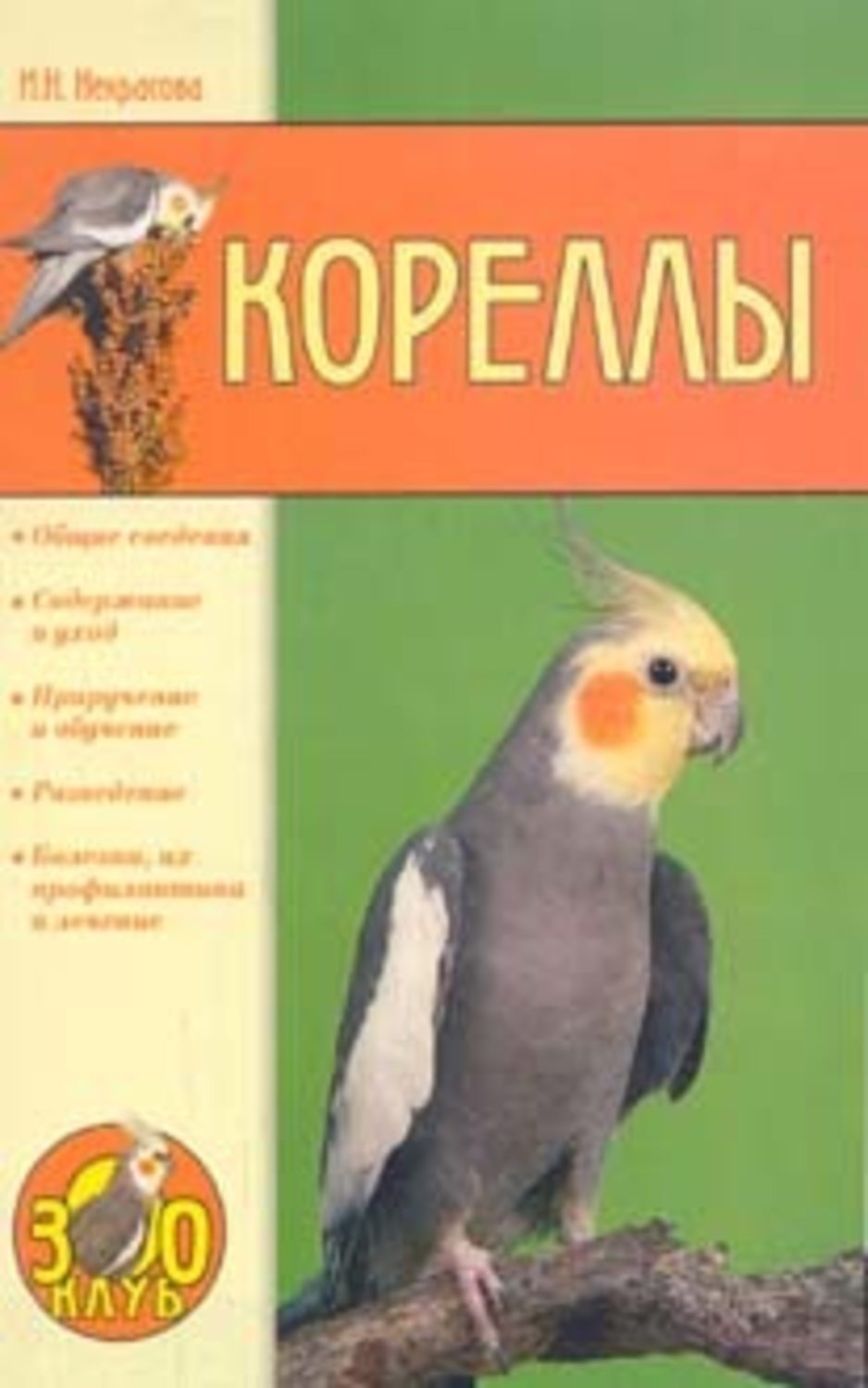 Обложка книги «Кореллы»