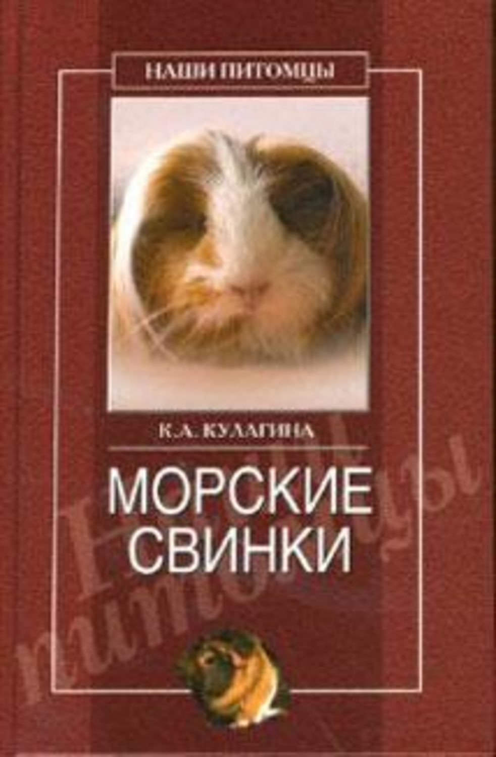 Обложка книги «Морские свинки»