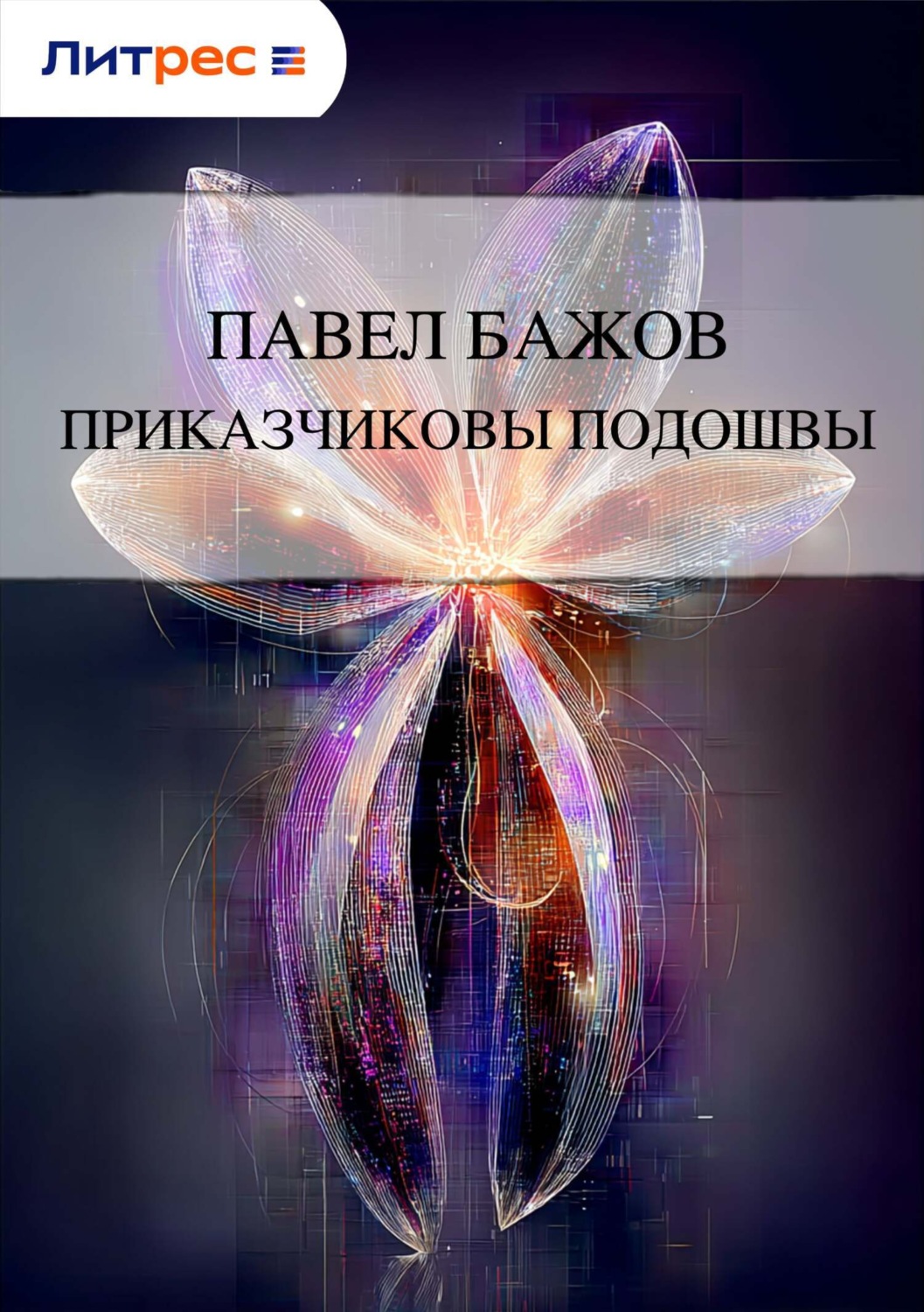 Обложка книги «Приказчиковы подошвы»