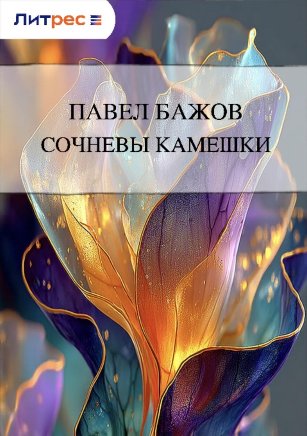 Обложка книги «Сочневы камешки»