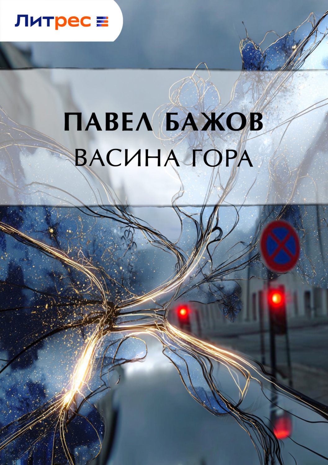 Обложка книги «Васина гора»