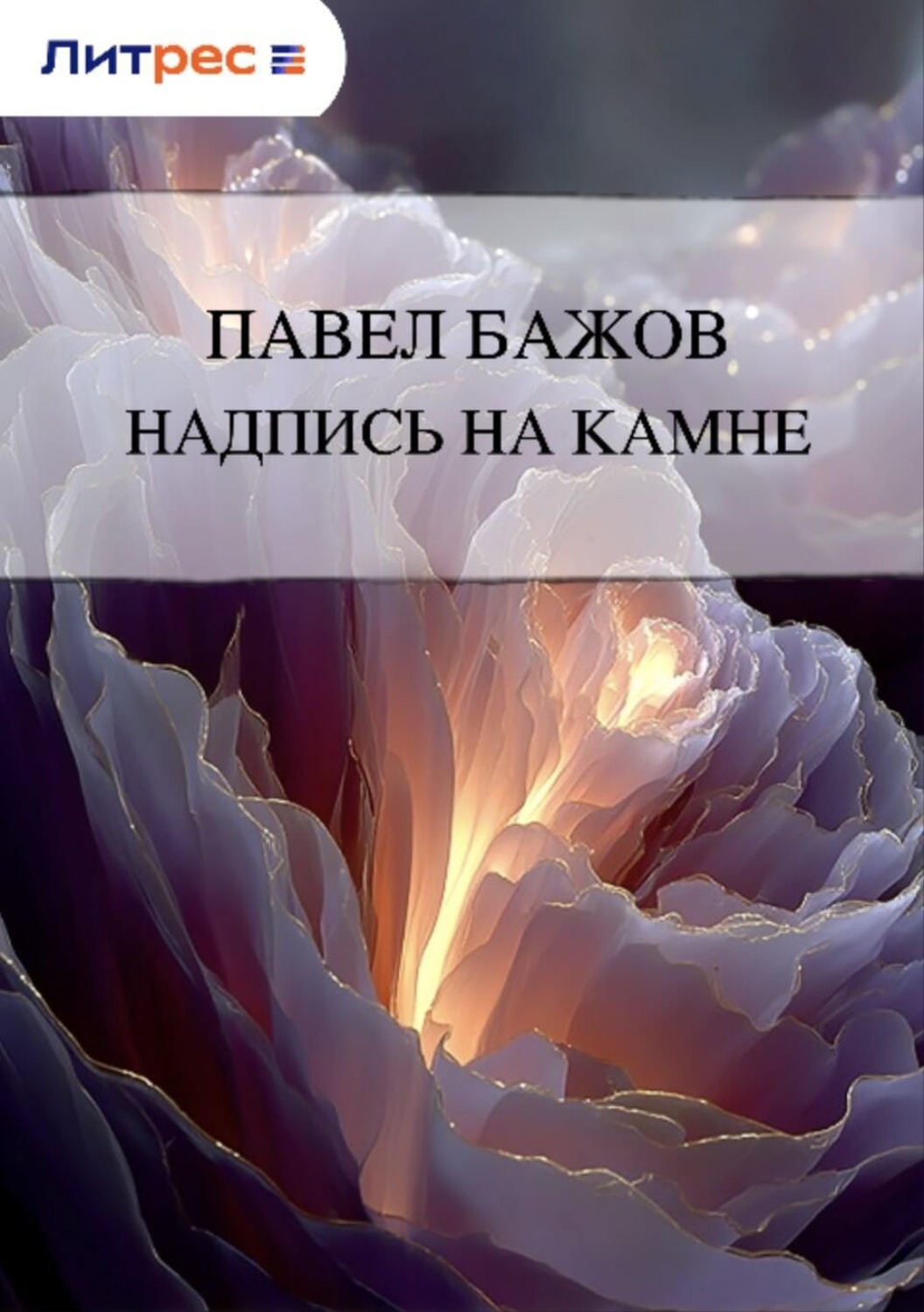 Обложка книги «Надпись на камне»