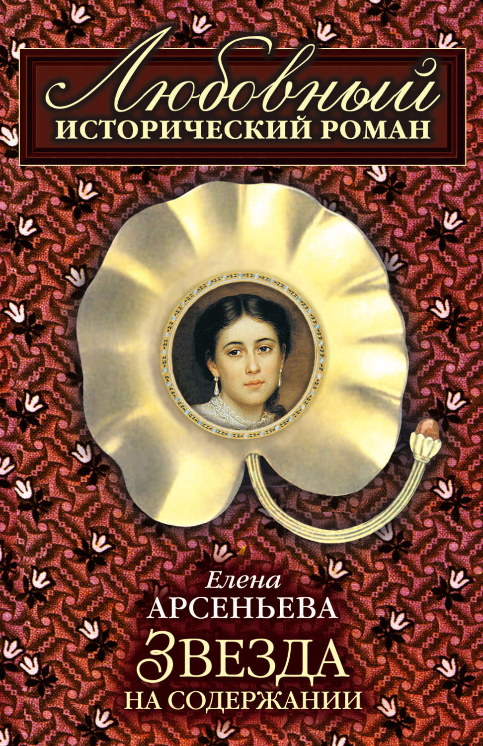 Обложка книги «Звезда на содержании»