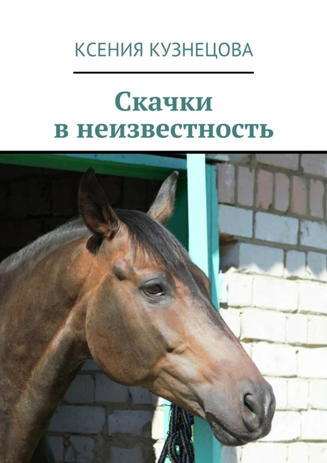 Обложка книги «Скачки в неизвестность»