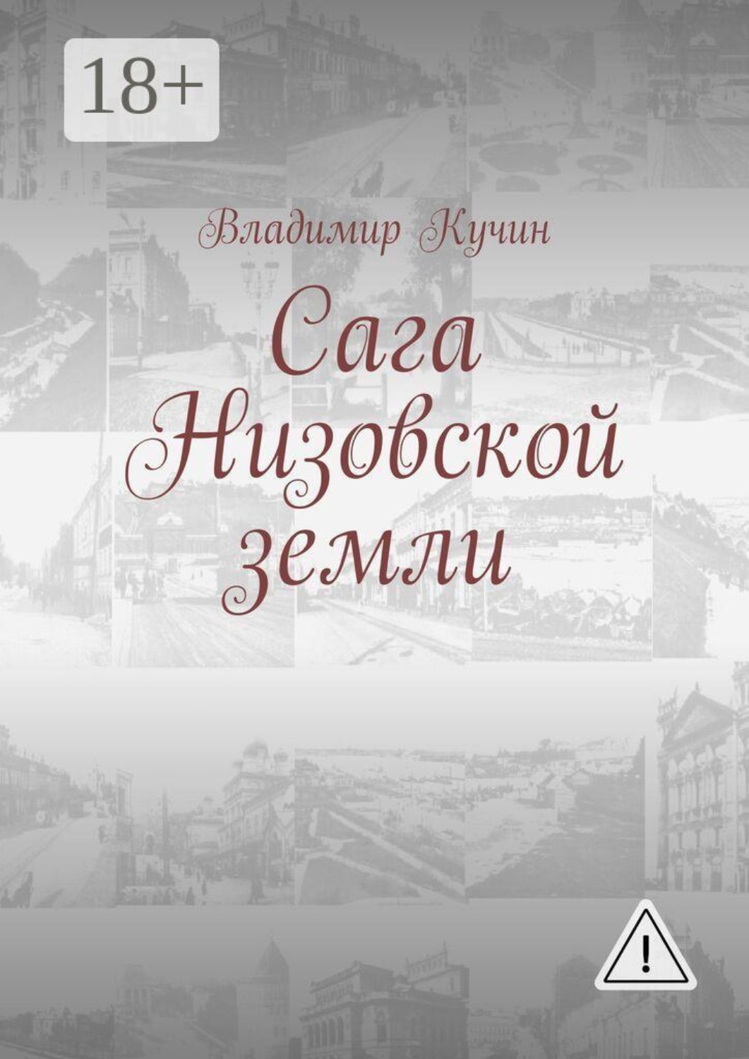 Обложка книги «Сага Низовской земли»
