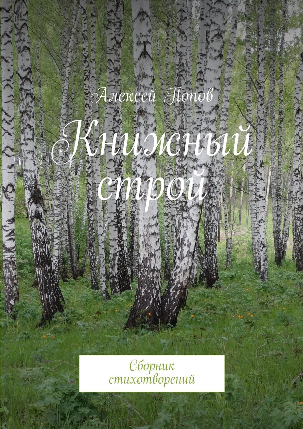 Обложка книги «Книжный строй. Сборник стихотворений»