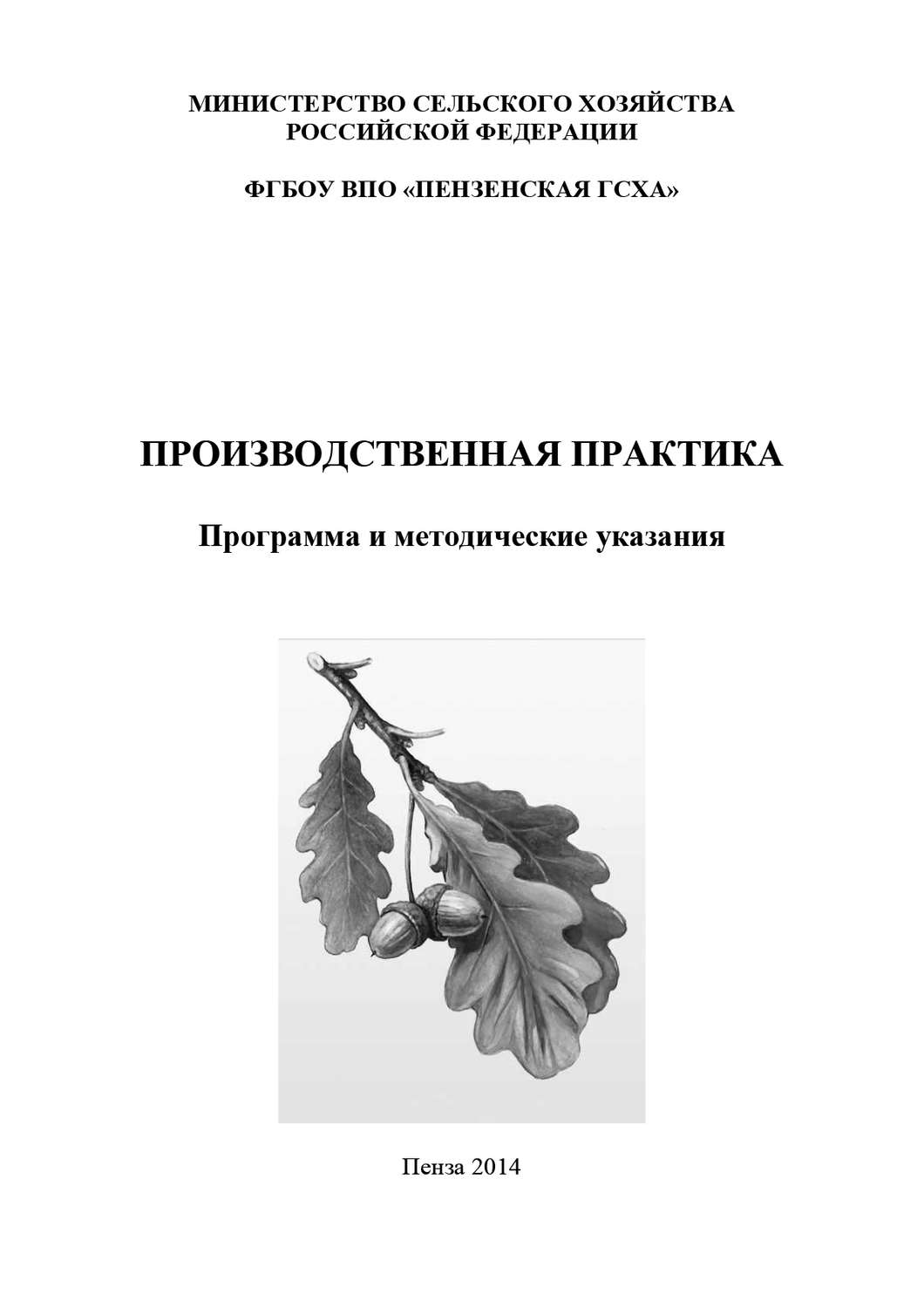 Обложка книги «Производственная практика. Программа и методические указания»