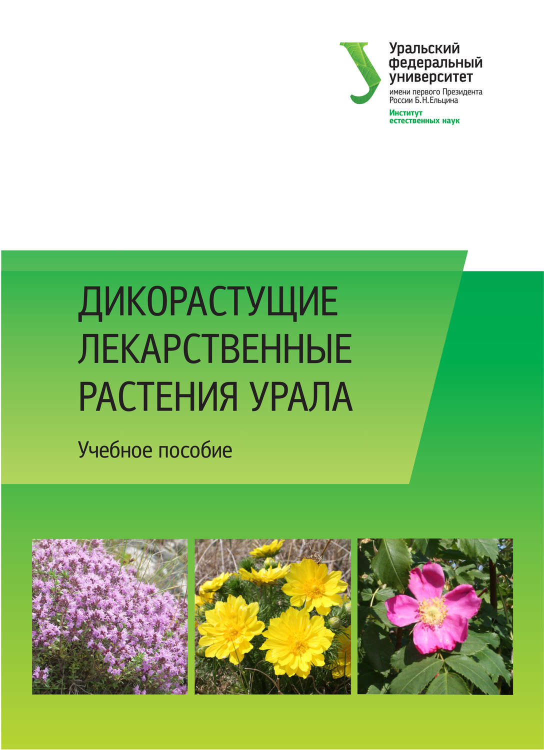 Обложка книги «Дикорастущие лекарственные растения Урала»