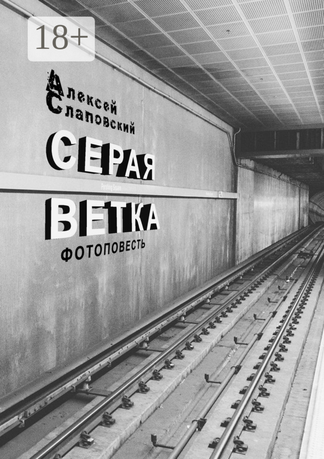 Обложка книги «Серая ветка. Фотоповесть»