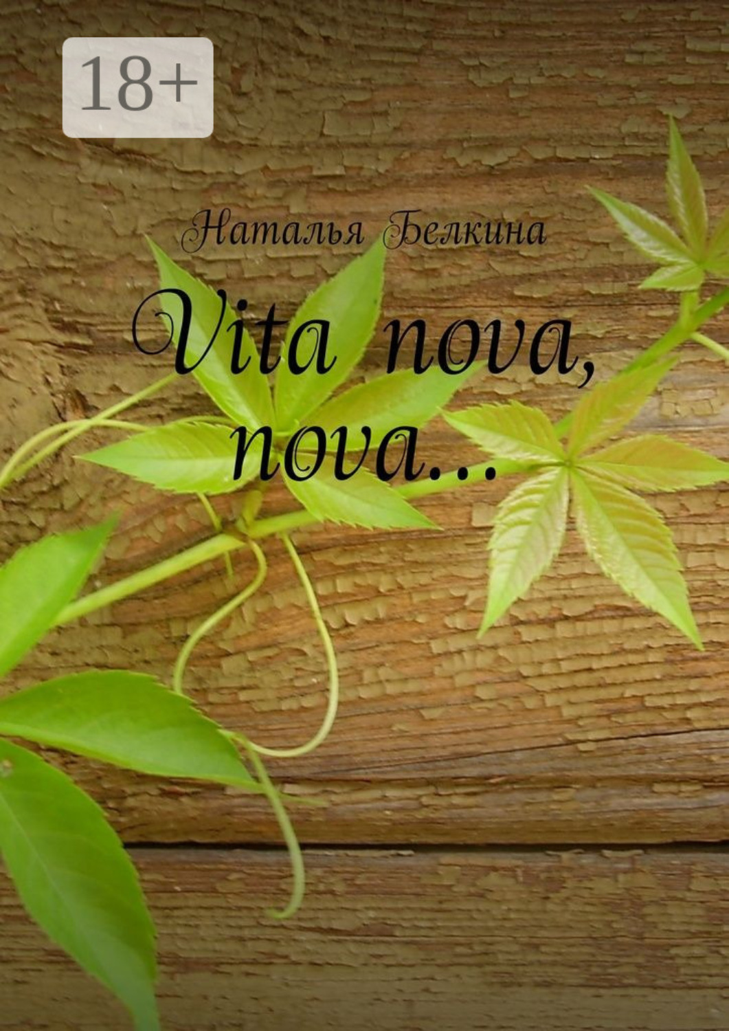 Обложка книги «Vita nova, nova…»