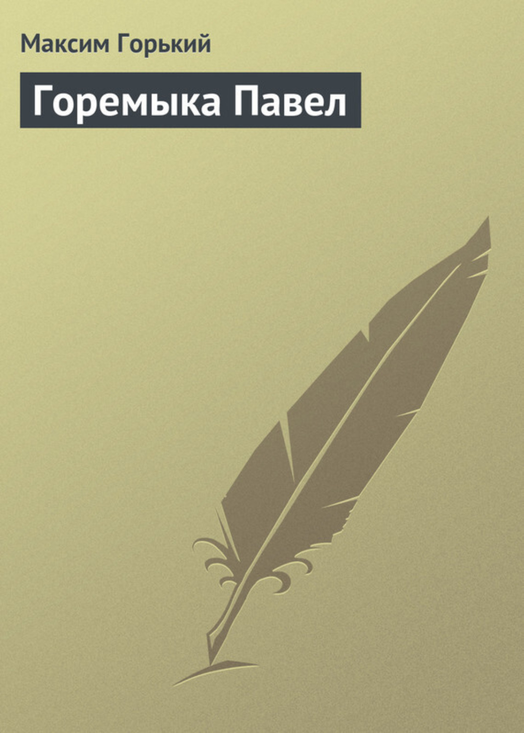 Обложка книги «Горемыка Павел»