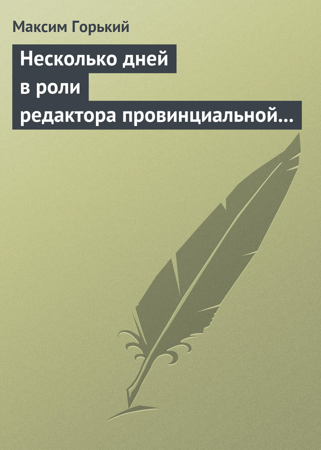 Обложка книги «Несколько дней в роли редактора провинциальной газеты»