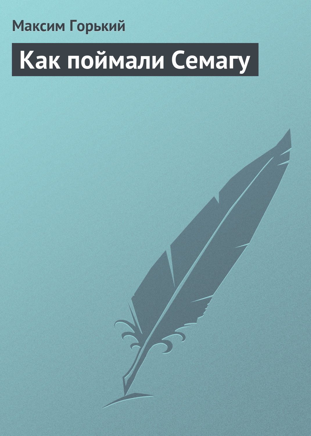 Обложка книги «Как поймали Семагу»