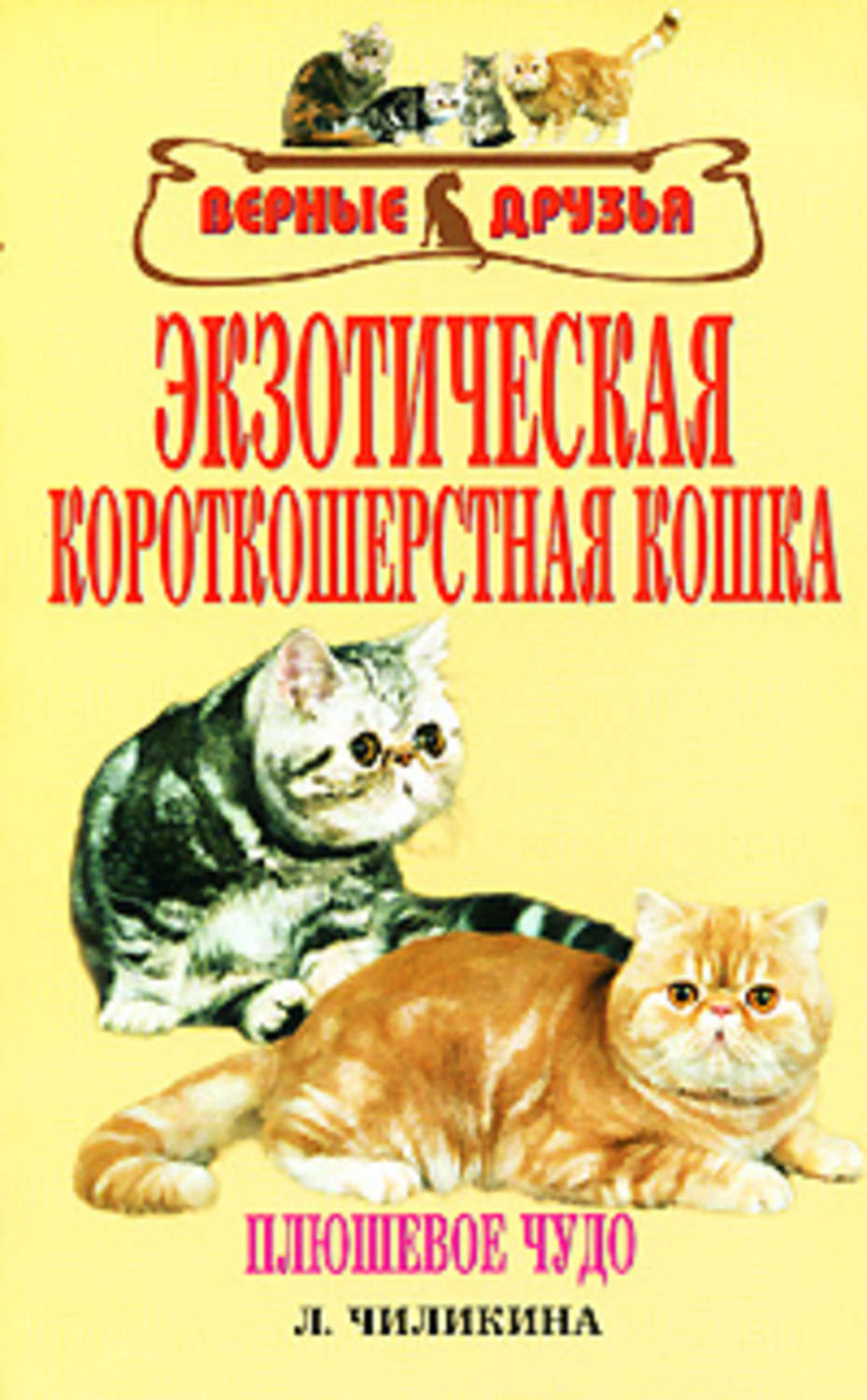 Обложка книги «Экзотическая короткошерстная кошка»