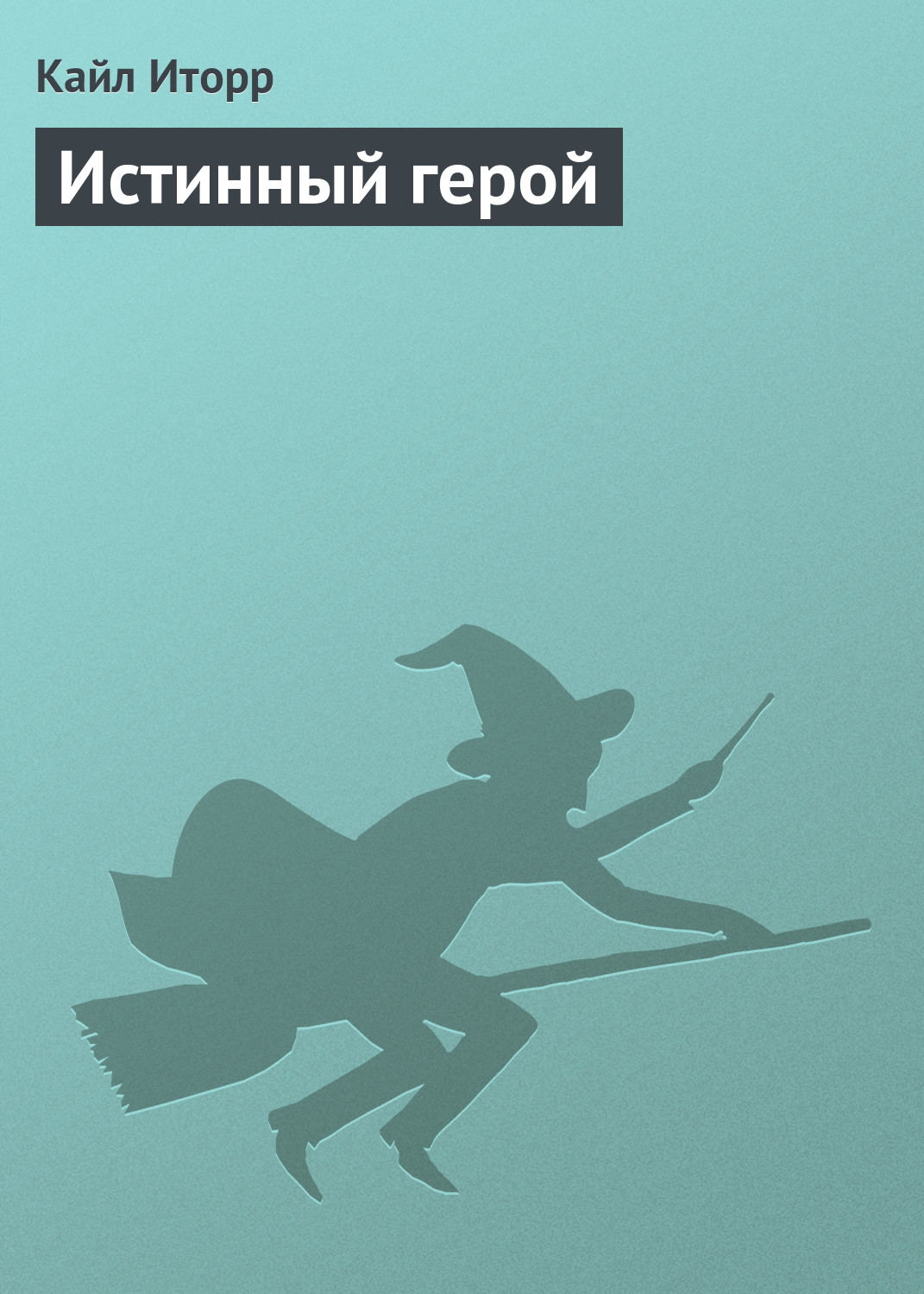 Обложка книги «Истинный герой»