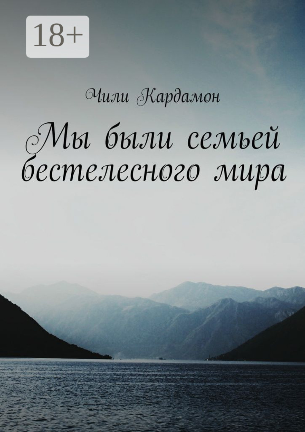 Обложка книги «Мы были семьей бестелесного мира»