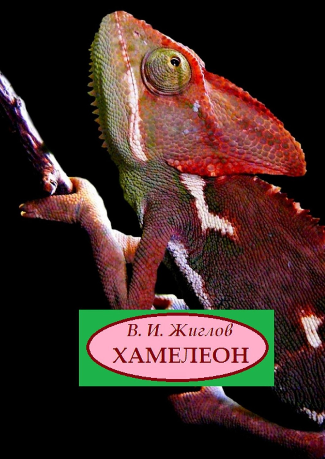 Обложка книги «Хамелеон. Рассказы»