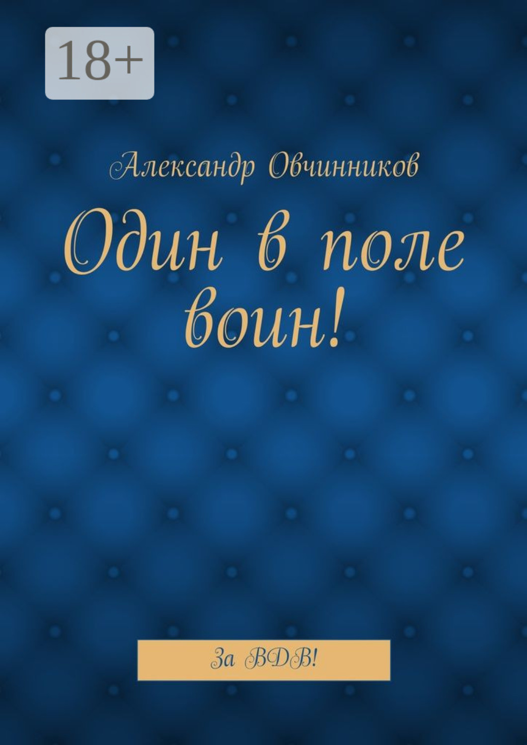 Обложка книги «Один в поле воин! За ВДВ!»