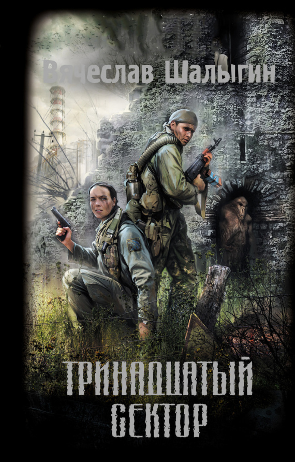 Обложка книги «Тринадцатый сектор»