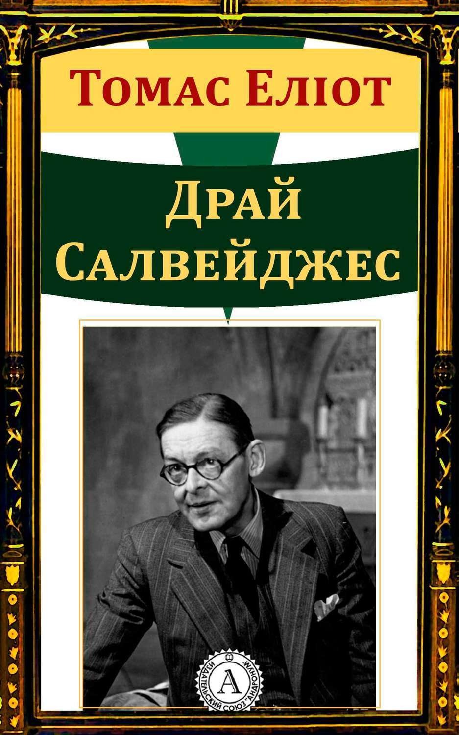 Обложка книги «Драй Салвейджес»