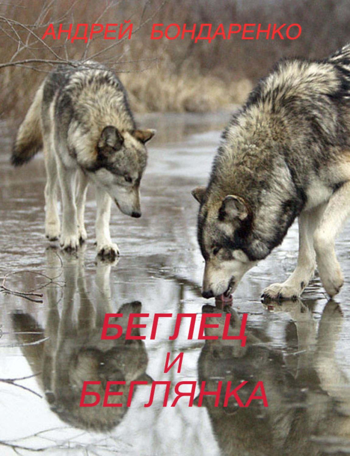 Обложка книги «Беглец и Беглянка»