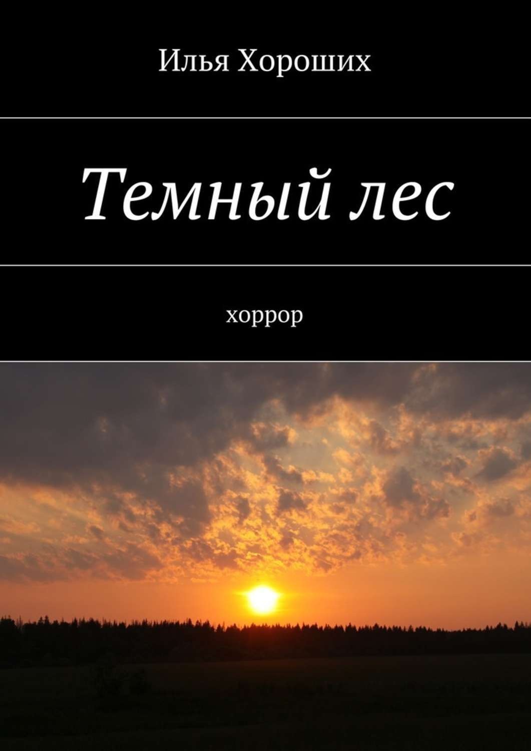 Обложка книги «Темный лес»